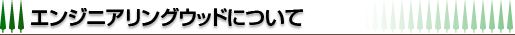 �G���W�j�A�����O�E�b�h�ɂ���