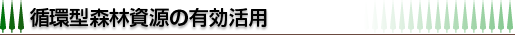 �z�^�X�ю����̗L�����p
